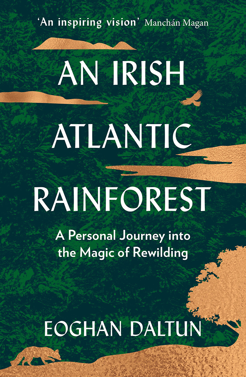 Irish Atlantic Rainforest by Eoghan Daltun
